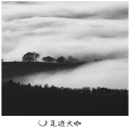 法迪、代总 - why would i ever