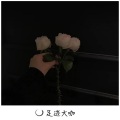法迪、代总 - Terror Jr