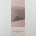 E.R.P. - Overcast
