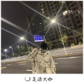 月新曲