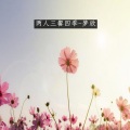 梦欣 - 两人三餐四季