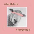 LAVO - Animaux