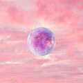 Cozyboy - PLS BE MORE PINK