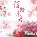 薛叮莎 - 陌路逢君 (男版)