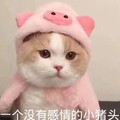 P.I.G - 一个人想着一个人