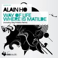 alain ho、DJ Yellow - Where Is Matilde (Original)