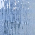 SIIA - 暴风雨