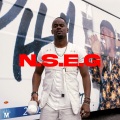 N.S.E.G. (Explicit)