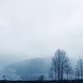 兔八歌 - 加冕