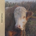Linwood Bell - There You Are