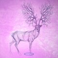 Klangfamilie - In The Meantime
