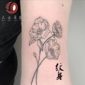 九徒 - 温柔只给意中人