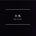 抱着沙发的猫 - 玫瑰