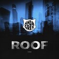 VRX - Roof