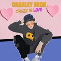 Charley Beck - Crazy in Love