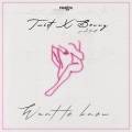 Twist、Berry - Want to Know (feat. Berry)(Explicit)