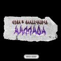 shallyfloyd、Visa - Миллион (Explicit)