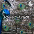 Satsuma Music、Dor Halevi - Back Once Again