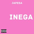 Japesa - INEGA