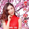 宁菲儿 - 君心何方