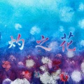 知缓、予霁 - 灼之花