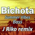 Bichota (Summer Vibes Bass Remix)