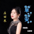 早安