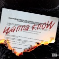 Wanna Know (Explicit)