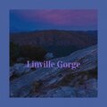 Sonicluke - Unexpected News