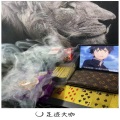 法迪、代总 - 条子无影手起飞