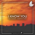 Cem Egemen、Yusufcan Yanık、Satsuma Music - I Know You