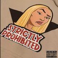 Stray - Prohibited Bars (Explicit)