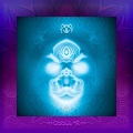 Tripswitch - Shamanic Tea (Ajja Remix)