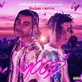 Subai - Mood