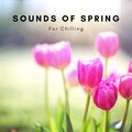 Cricket Sounds、Nature Sounds Collabo、Zen Master - Spring Love