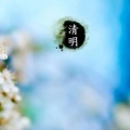 潘华 - 清明扫墓祭先祖