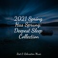 Yoga Music、SPA、Deep Sleep - Focus and Flow