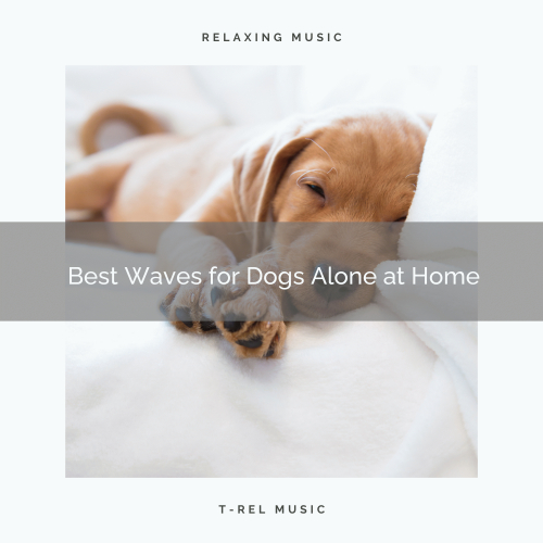 Relax My Dog Music、Happy Dogs And Cats - Best Sounds for Puppies Awaiting Your Return