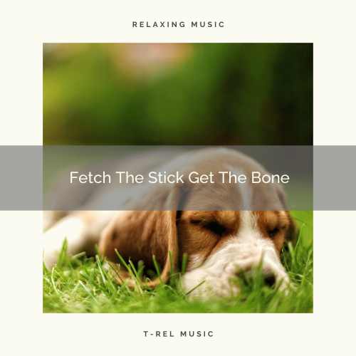 2021 Fetch The Stick Get The Bone