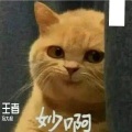 冯大叔 - 曙光守护者凯