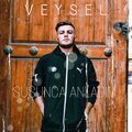 Veysel - Veysel Susunca Anladım