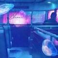 Space Leopard - Chronic Euphoria