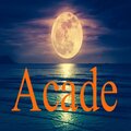 Arcade