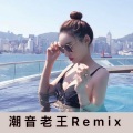 潮音老王 - 旋律至上 (Remix)