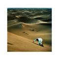 Baxter Dury - Miami (Explicit)