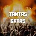 Dj Perreo Mix - Tantas Gatas