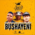 Bushayeni (feat. King Vee Stapia Tman Xpress & Simpletone)