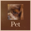 Sergei Shell - Pet