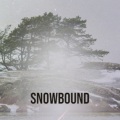 Brian Charles Rice - Snowbound