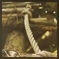 Jonathan Carlile - 0043D